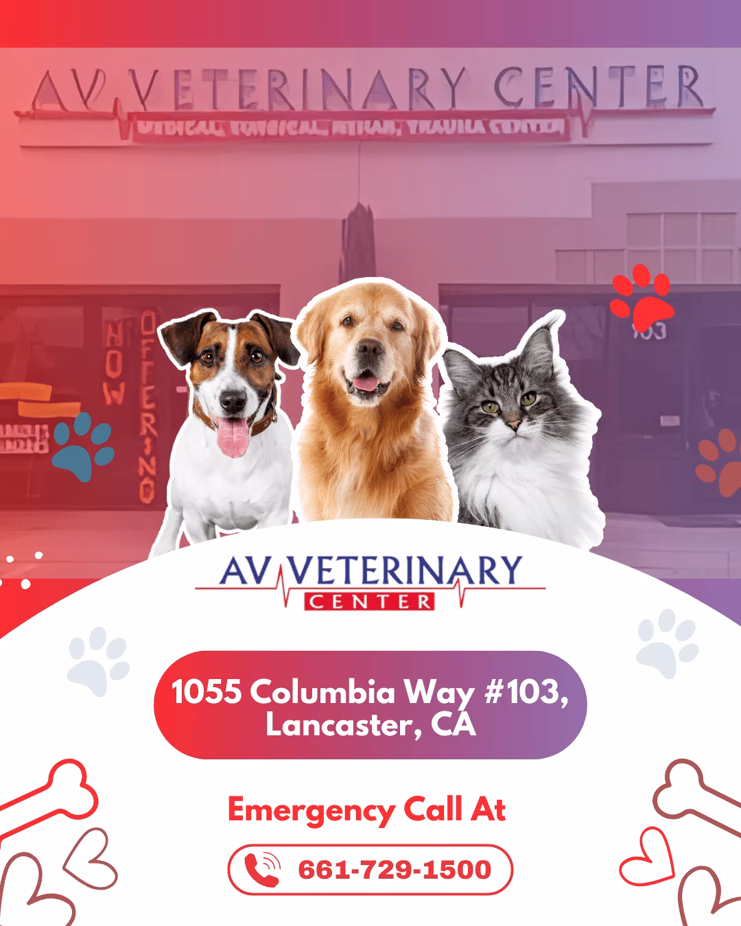 AV Veterinary Center creative
