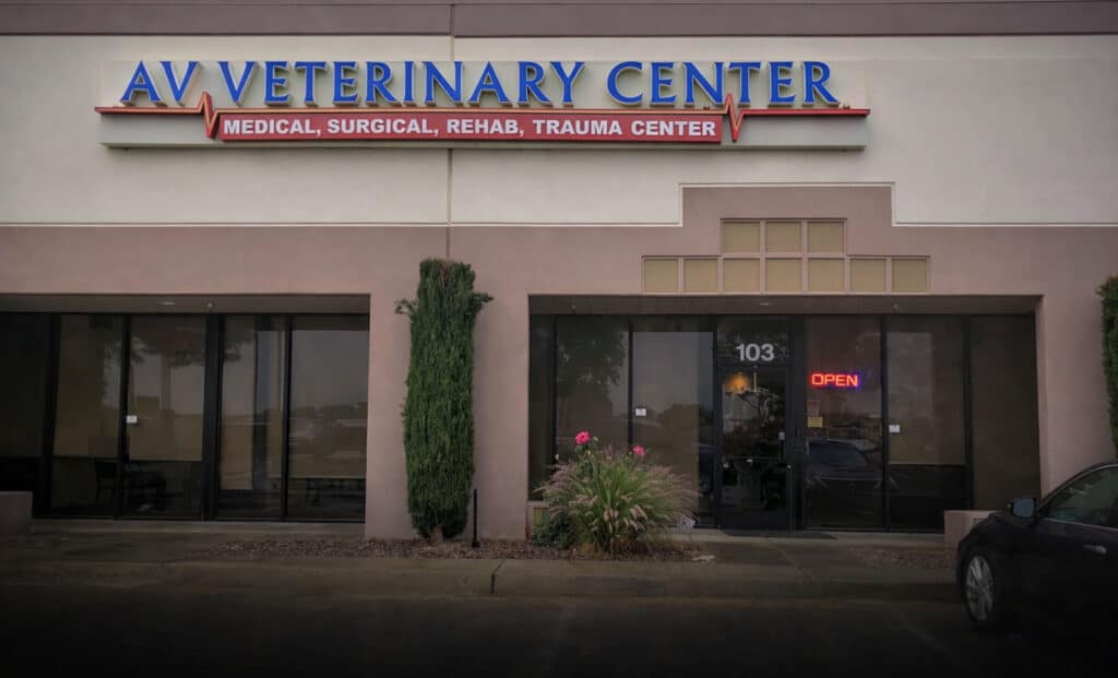 AV Veterinary Center in Lancaster, CA