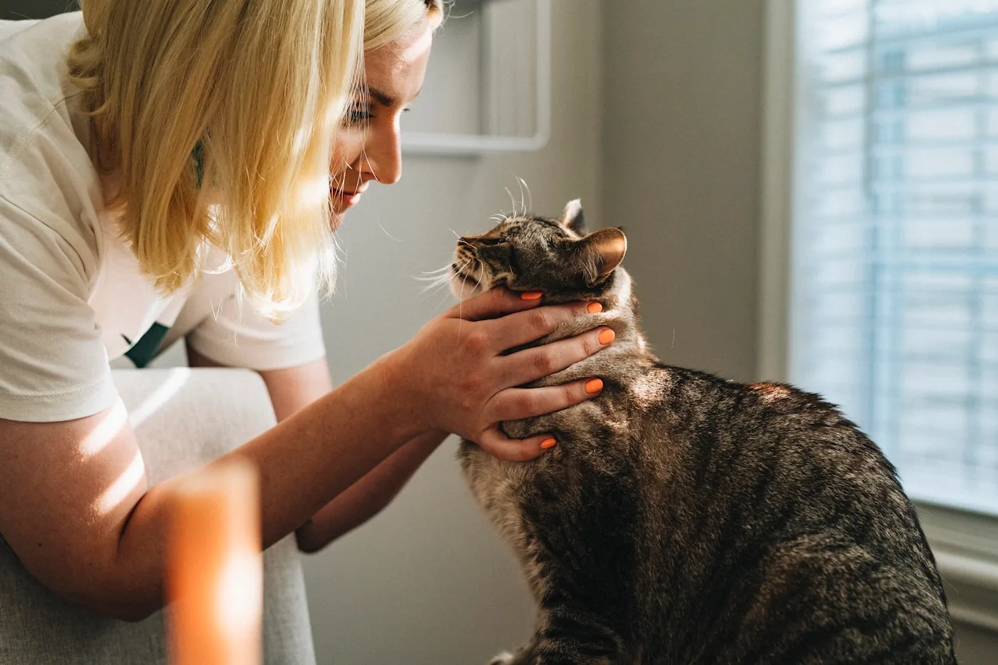 Visit to the AV Veterinary Center in an Emergency Situation - Emergency Care | Emergency Veterinary Hospital